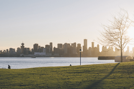 City dwellers beware - here’s what’s hiding in your air