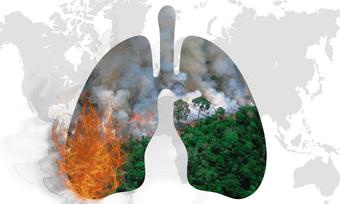 The Amazon rainforest is burning at a record pace, threatening the prosperity of the planet