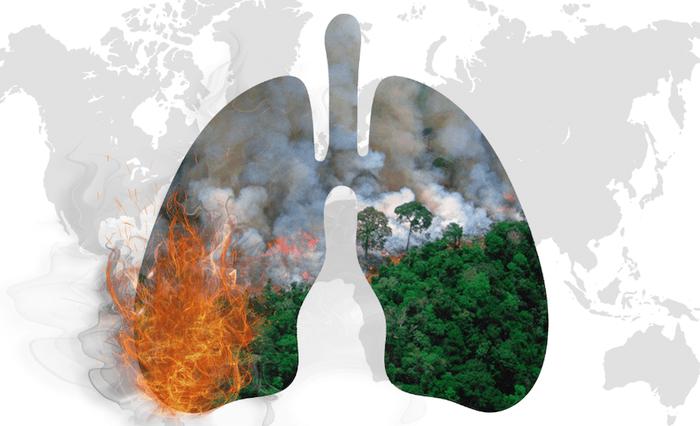 The Amazon rainforest is burning at a record pace, threatening the prosperity of the planet